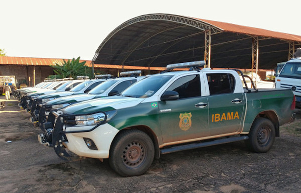 Concursos públicos do Ibama: o que esperar?