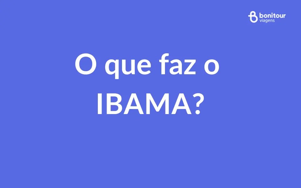 Como consultar multas ambientais no Ibama