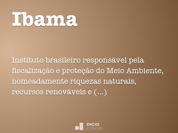 O papel do Ibama no combate ao desmatamento