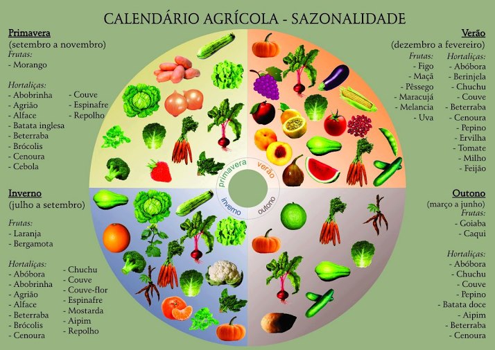 Como montar uma horta em apartamento