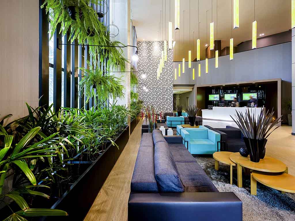 Descubra o Pico do Roncador: Onde o Céu é Mais Próximo