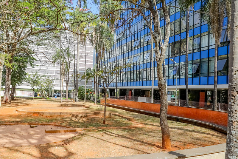 pamonharias em brasília asa sul