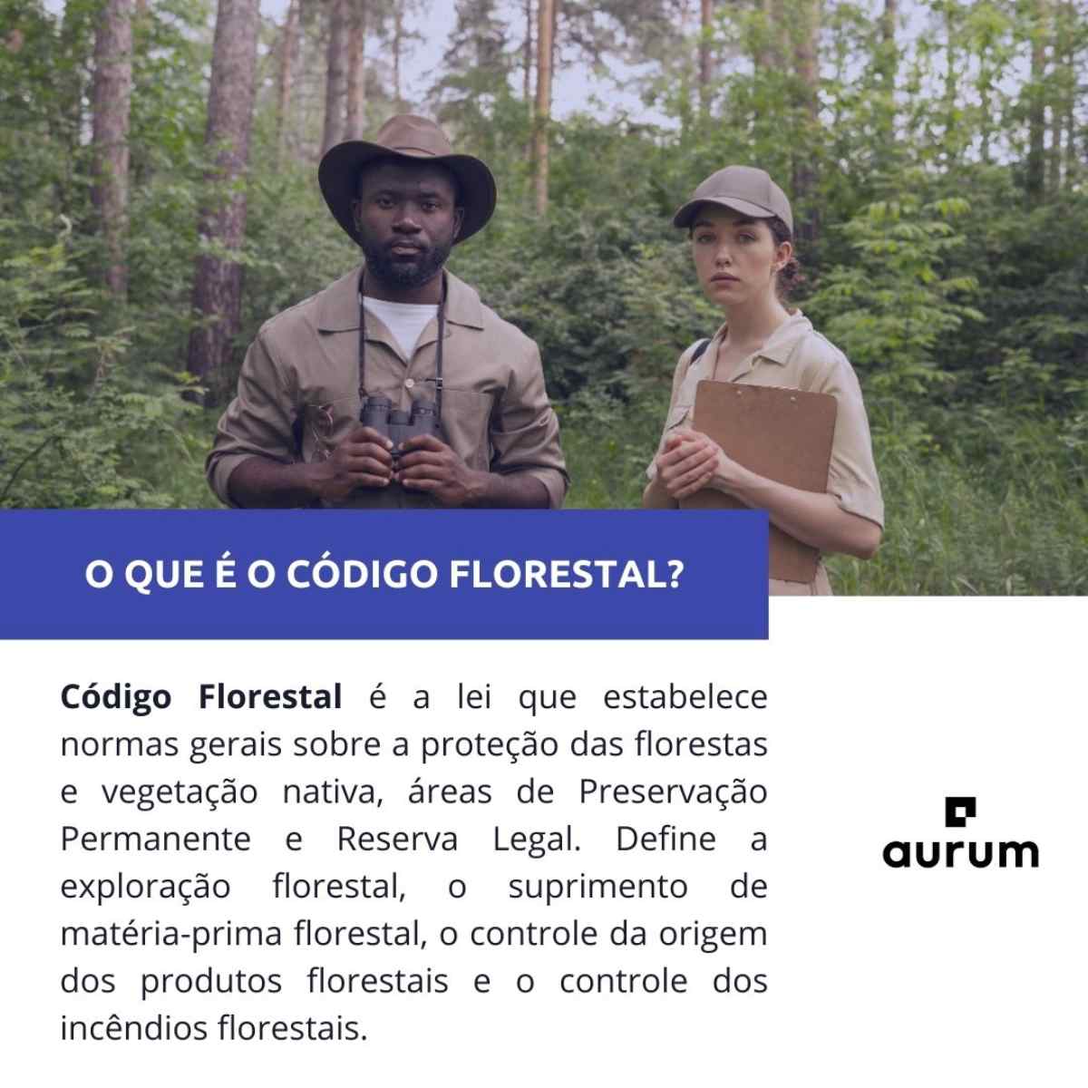 Segurança jurídica no campo com o novo Código Florestal