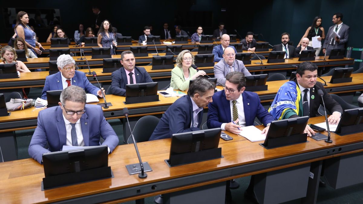 O Papel do Relator no Conselho de Ética