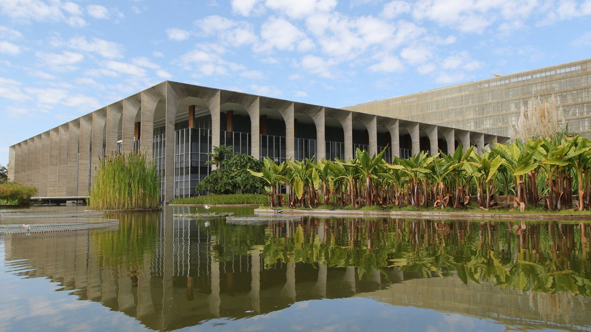 Guia completo para ingressar na carreira diplomática