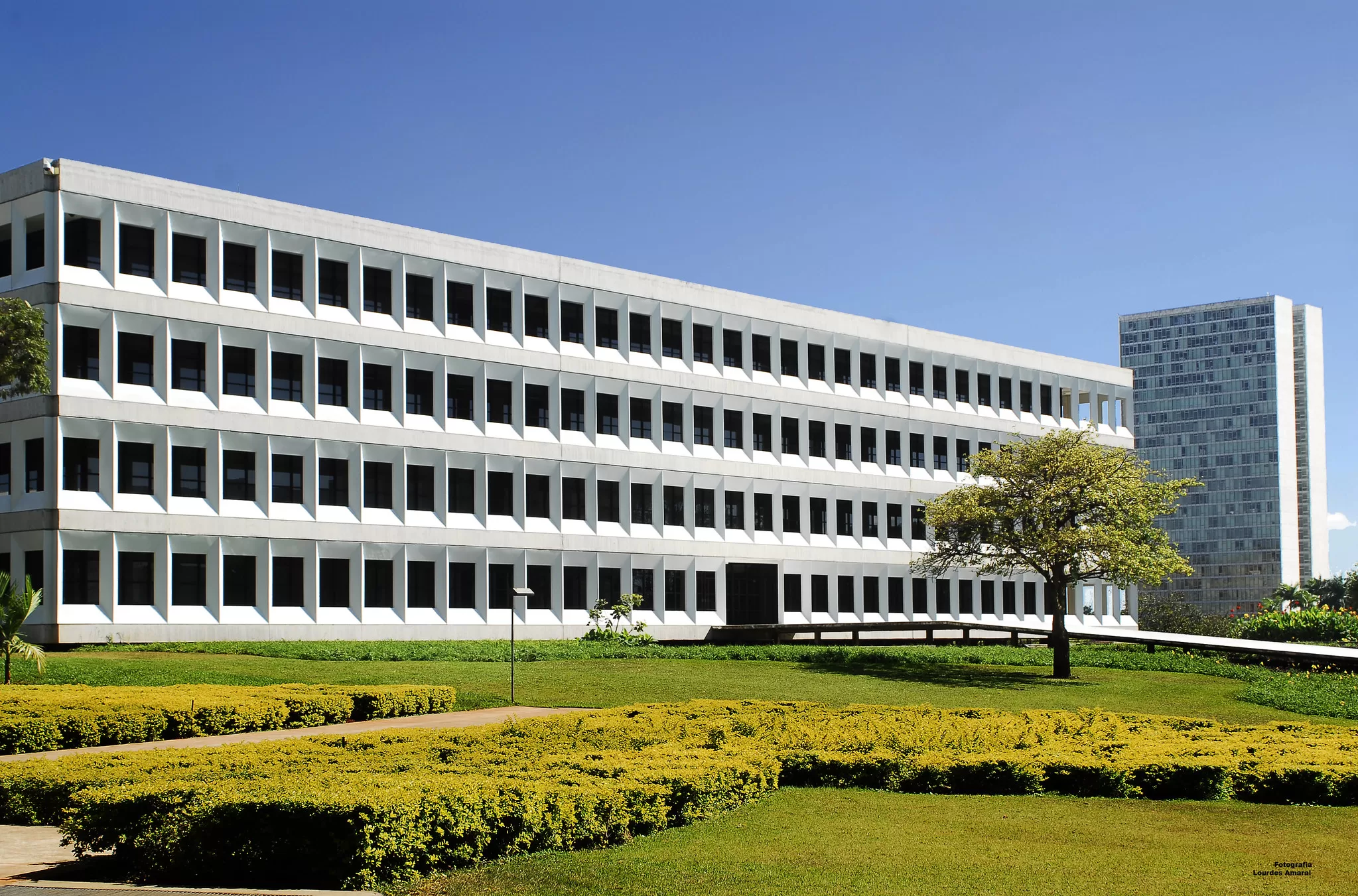 Casos de sucesso: Como o TCU combatou fraudes e desvios