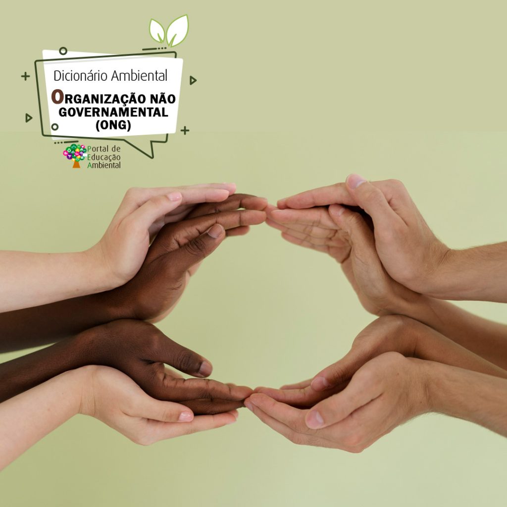 ONGs e a defesa dos direitos humanos no Brasil