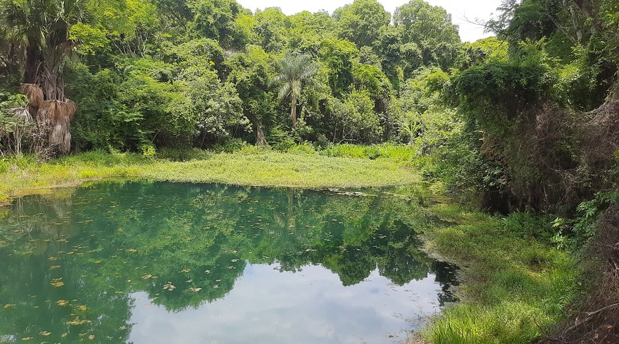 parque olhos d'água brasília