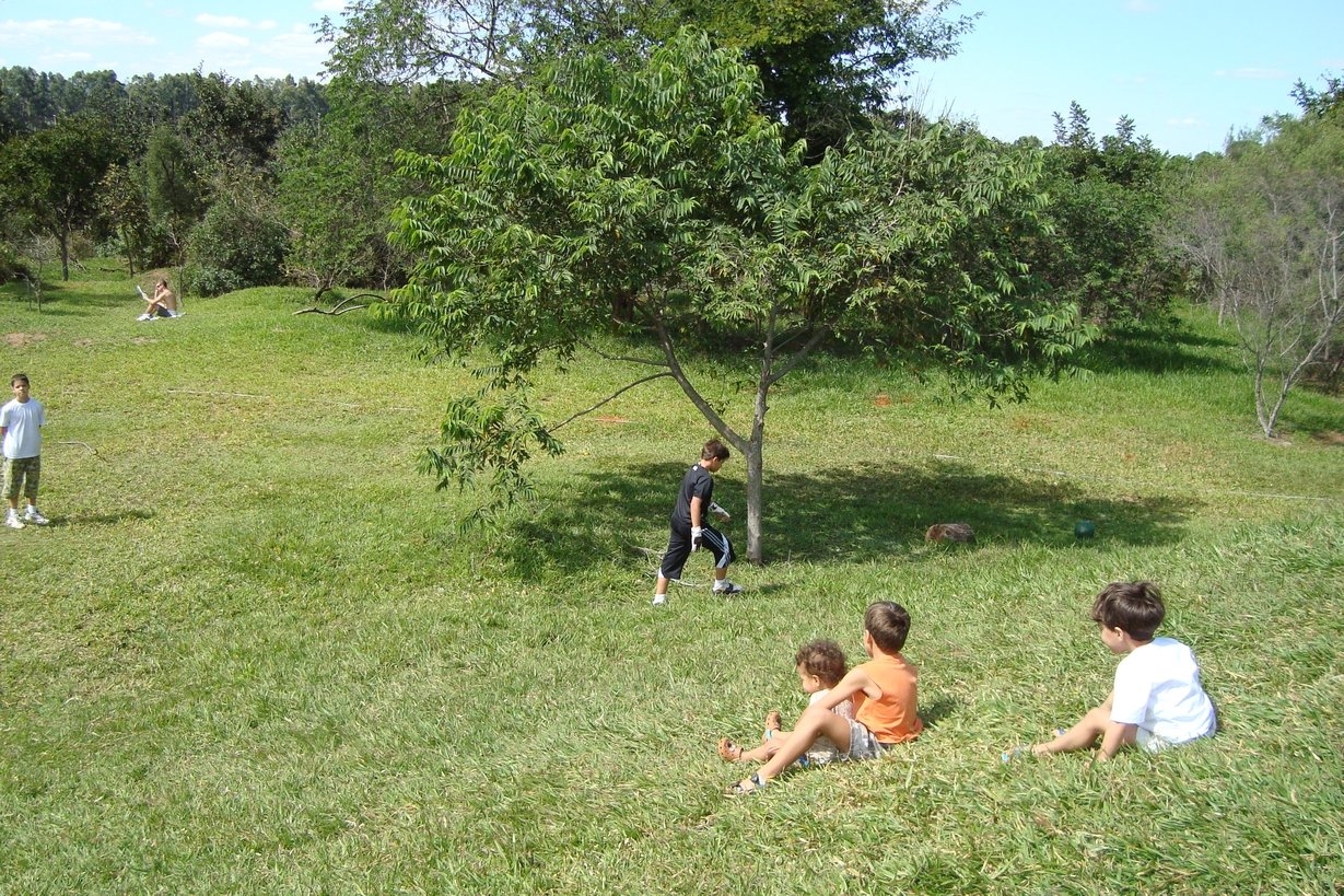 Guia Completo do Parque Ecológico Olhos d'Água: Atividades e Dicas