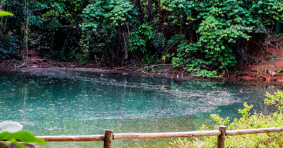 Descubra a Biodiversidade do Parque Olhos d'Água em Brasília