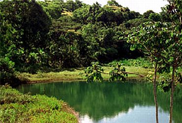 A Importância do Parque Olhos d'Água para a Preservação Ambiental em Brasília