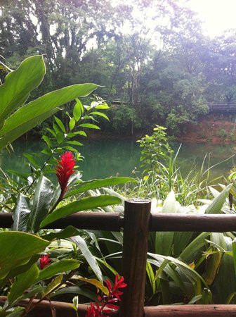 Guia Completo do Parque Ecológico Olhos d'Água: Atividades e Dicas