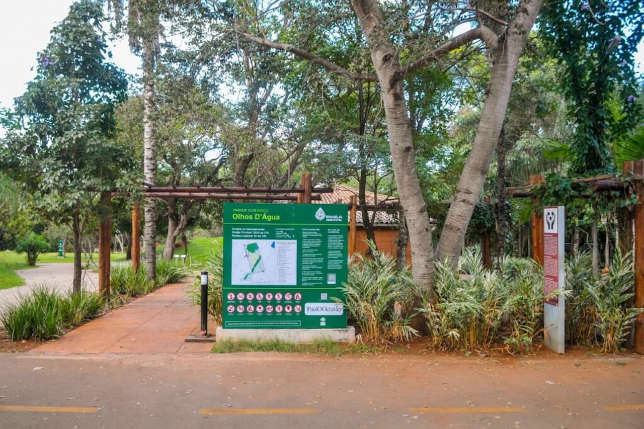 Descubra a Biodiversidade do Parque Olhos d'Água em Brasília