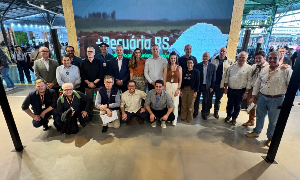 pecuária corte rio grande do sul