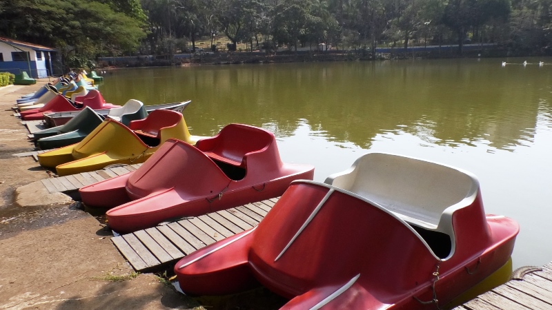 Como Aproveitar o Lago Paranoá: Dicas para o Passeio de Pedalinho Perfeito