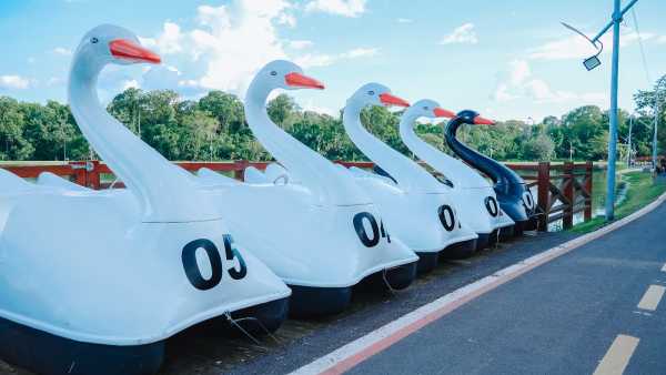 Como Aproveitar o Lago Paranoá: Dicas para o Passeio de Pedalinho Perfeito