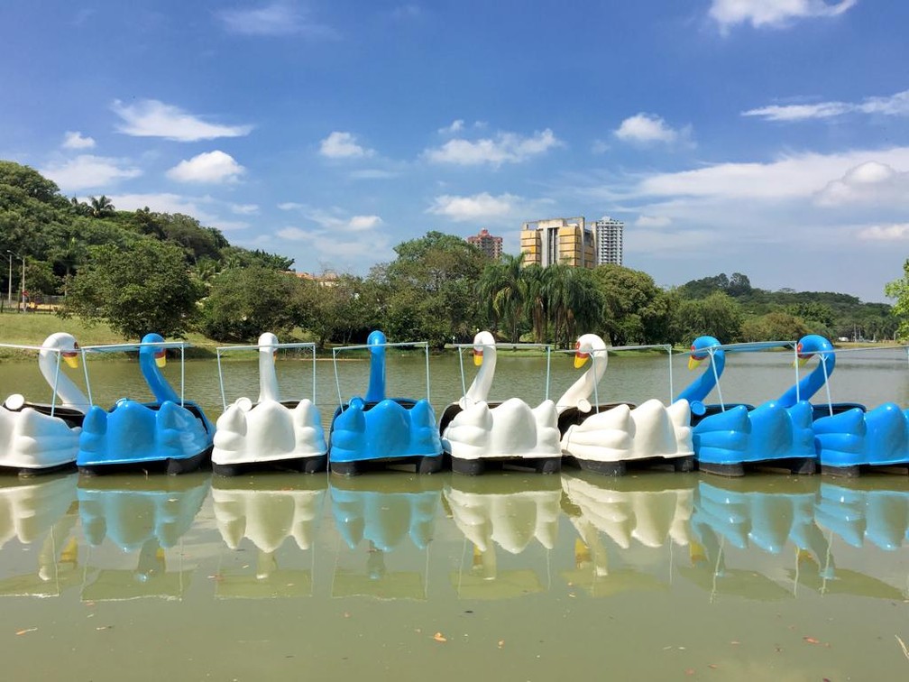 Como Aproveitar o Lago Paranoá: Dicas para o Passeio de Pedalinho Perfeito