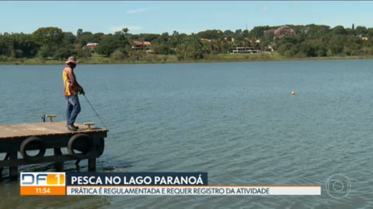 Guia Completo da Pesca Esportiva no Lago Paranoá: Regras e Dicas