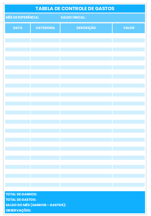 Dicas de categorização de despesas para controle financeiro