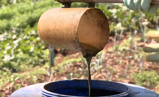 preparar biofertilizante caseiro hortaliças