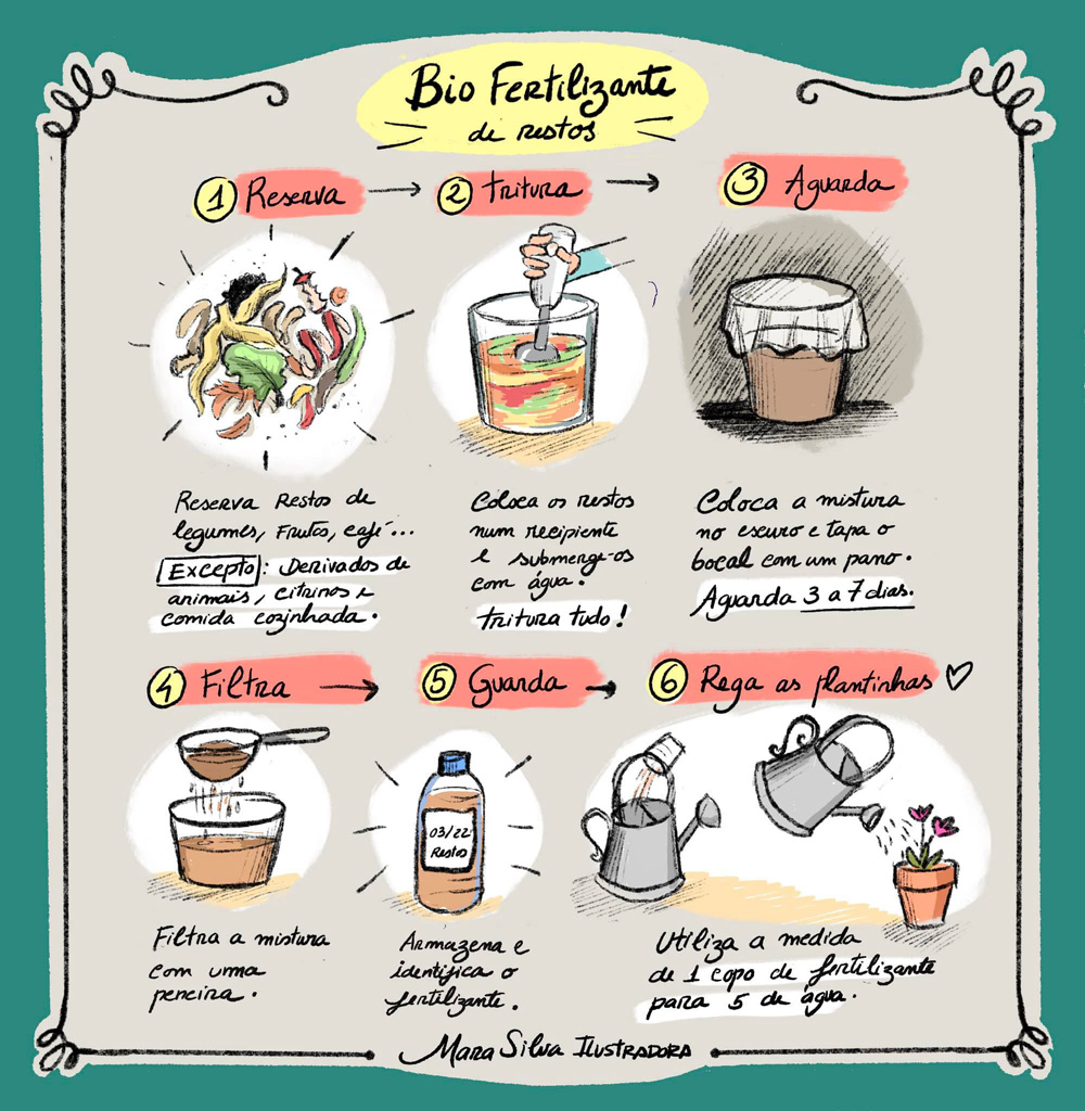 5 Receitas de Biofertilizantes para Cada Tipo de Planta