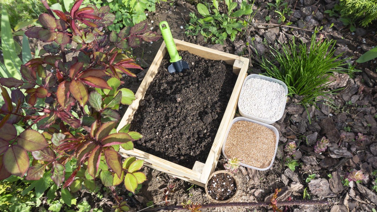 Biofertilizantes Naturais vs. Fertilizantes Químicos: Qual a Melhor Escolha para Sua Horta?