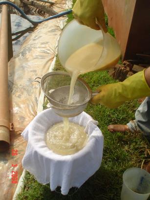 Guia Completo: Aplicação Correta de Biofertilizantes para Evitar Queimaduras nas Plantas