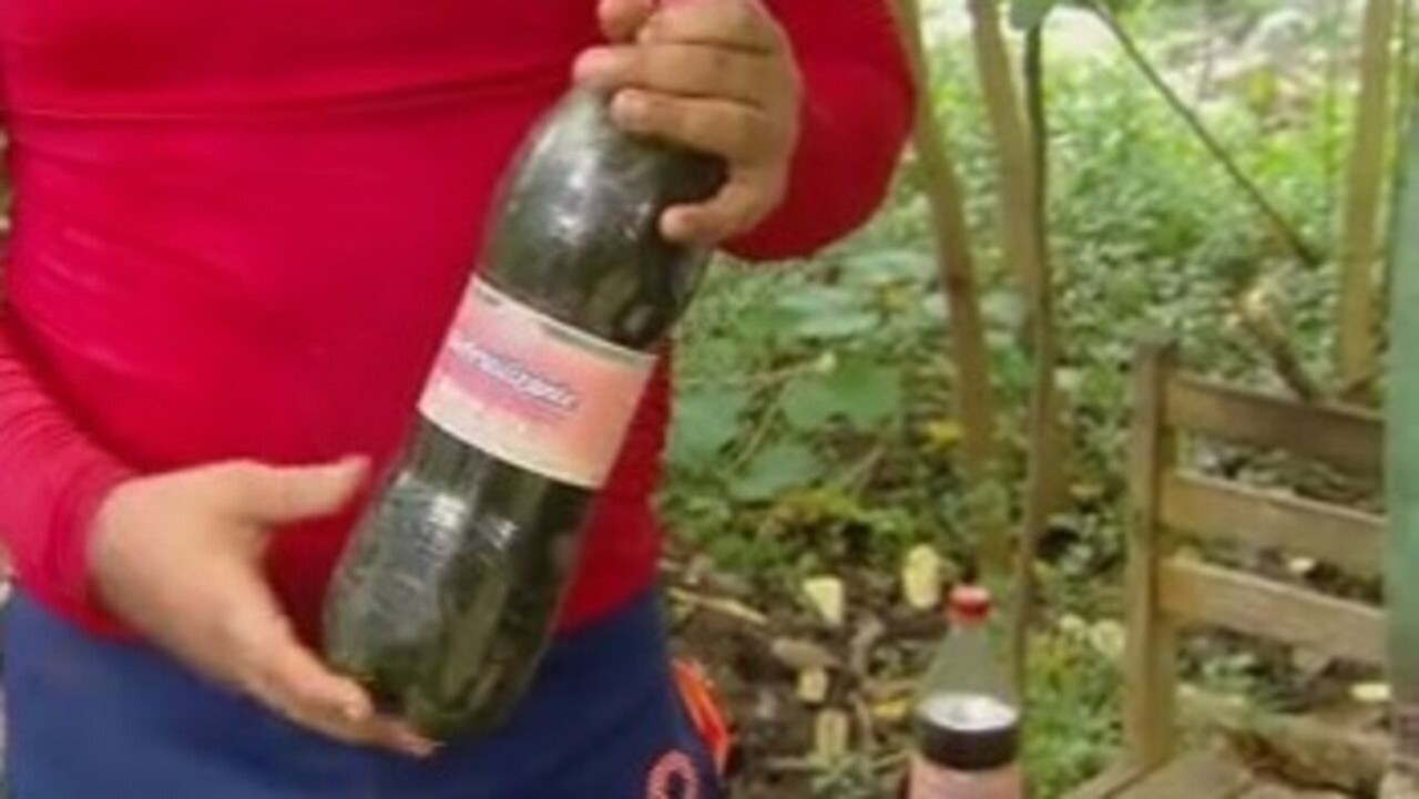 5 Receitas de Biofertilizantes para Cada Tipo de Planta