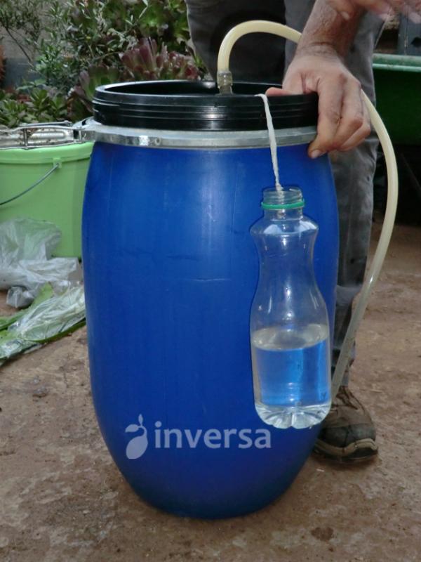 Como a Compostagem Doméstica Transforma Resíduos em Ouro para o Jardim