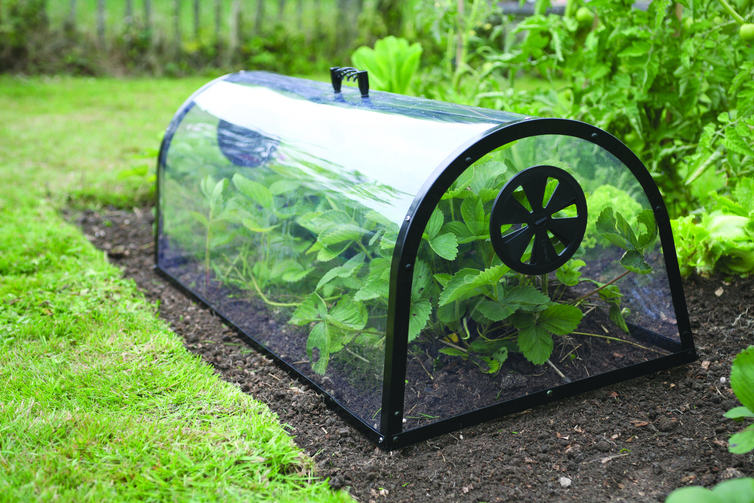 5 Métodos de Cobertura para Proteger sua Horta da Geada