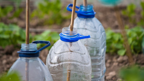 proteger horta geada inverno rs