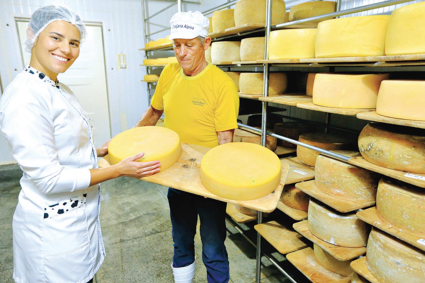 queijos goianos em brasília onde encontrar