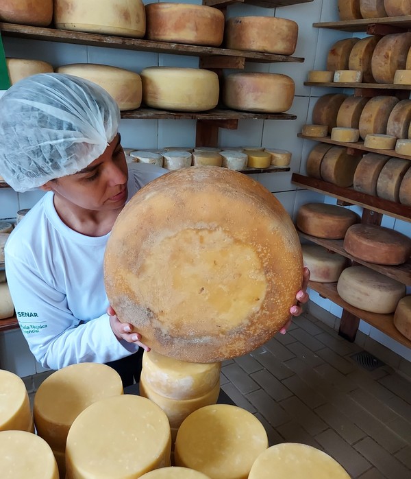 queijos goianos em brasília onde encontrar