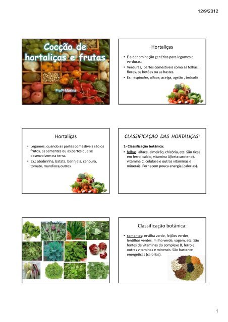 5 Tipos de Hortaliças Ideais para Iniciantes