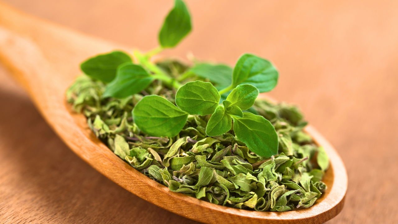 segredos para ter orégano fresquinho