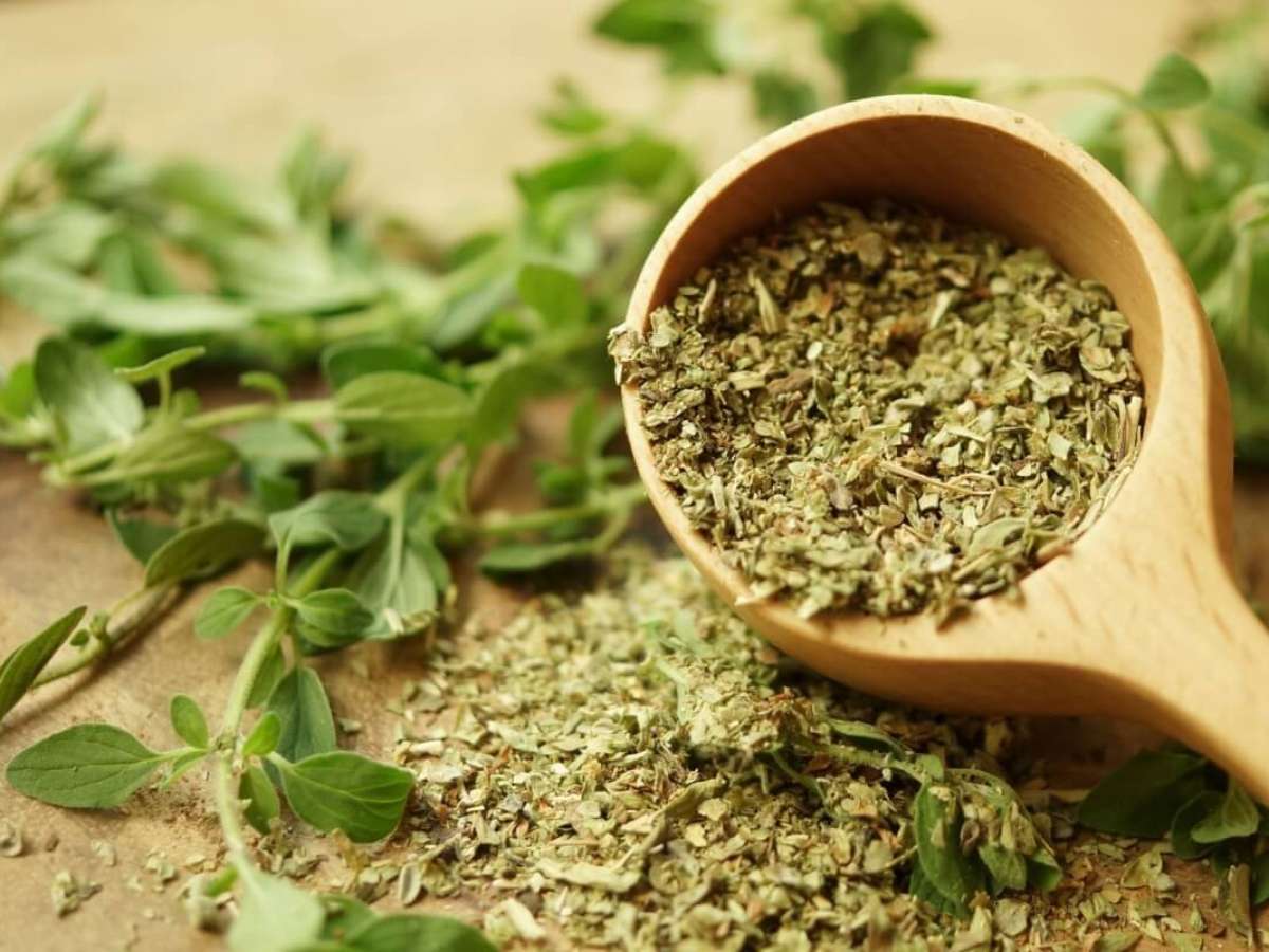 Orégano vs Manjericão: Qual a Diferença e Uso