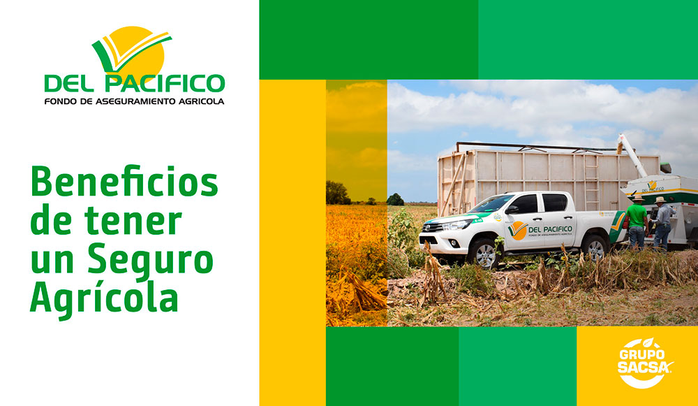 Como o ZARC beneficia produtores rurais