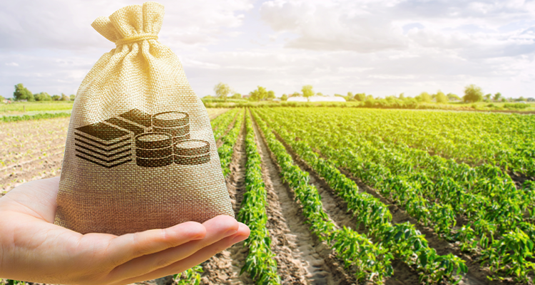 O que esperar da obrigatoriedade do seguro rural em 2026