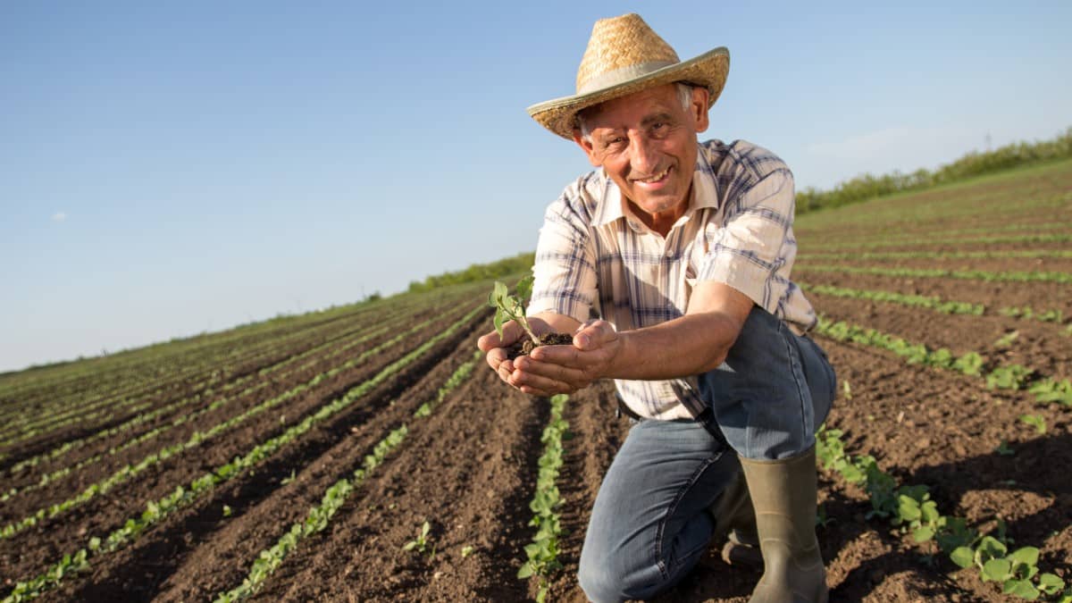 Entenda o Programa de Subvenção ao Prêmio do Seguro Rural (PSR)