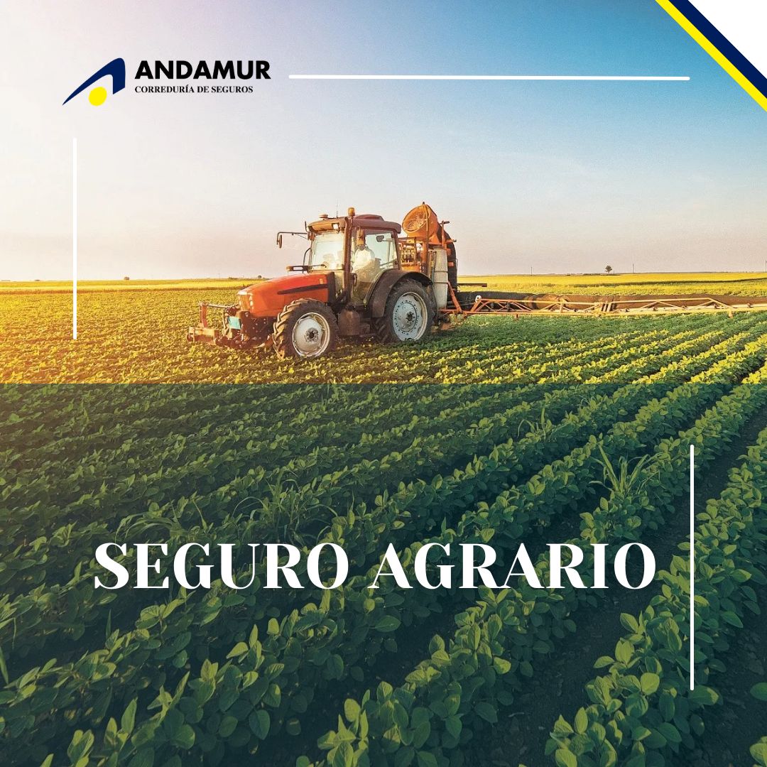 Calculando o custo do seguro agrícola para sua lavoura