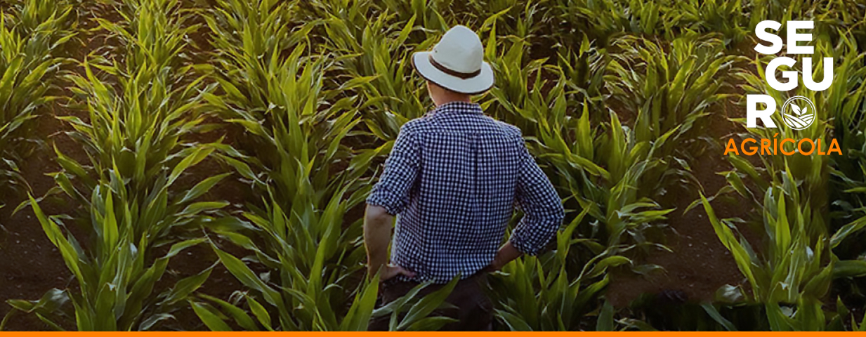 seguro agrícola