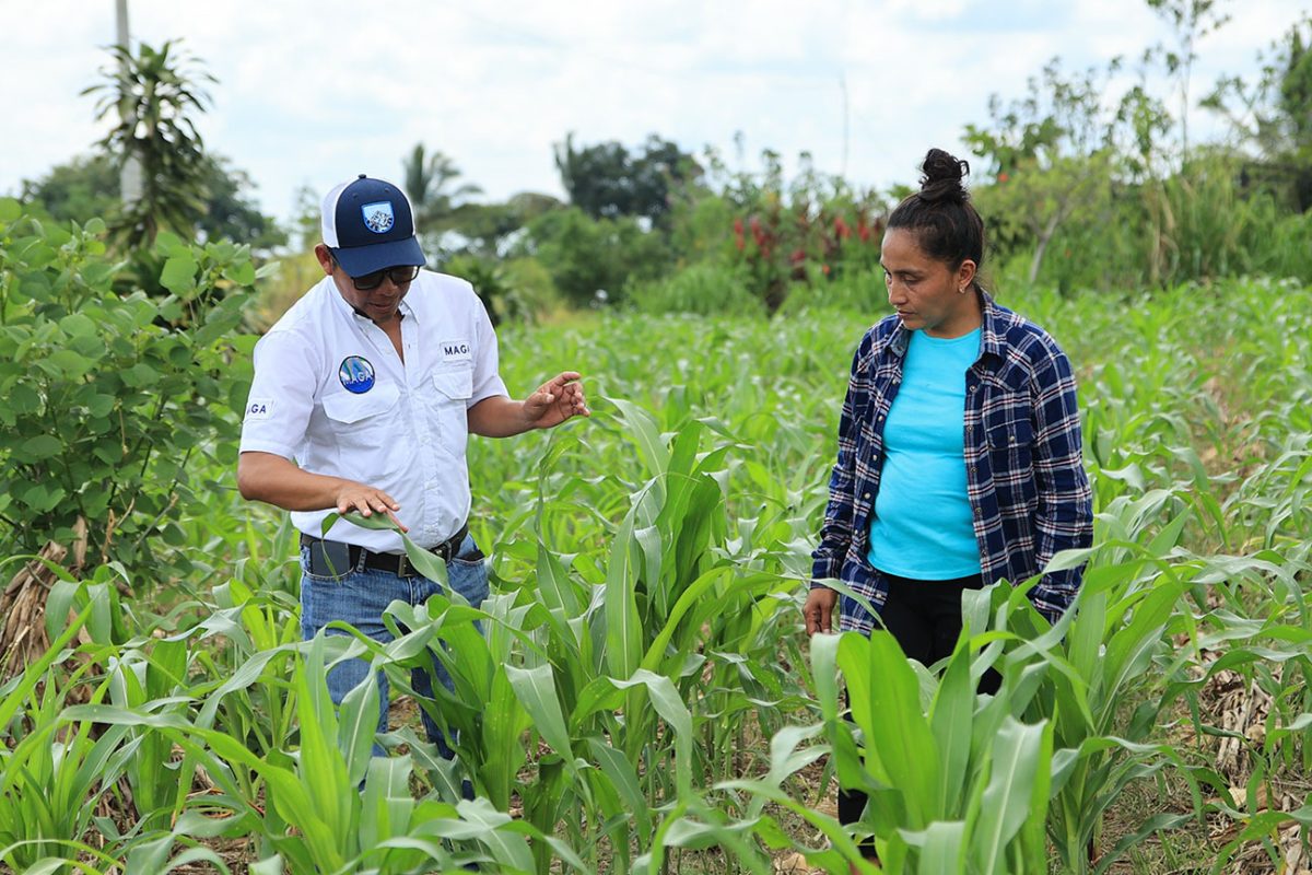 Como o ZARC beneficia produtores rurais