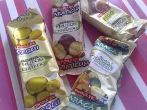 sorvete do cerrado brasília sabores