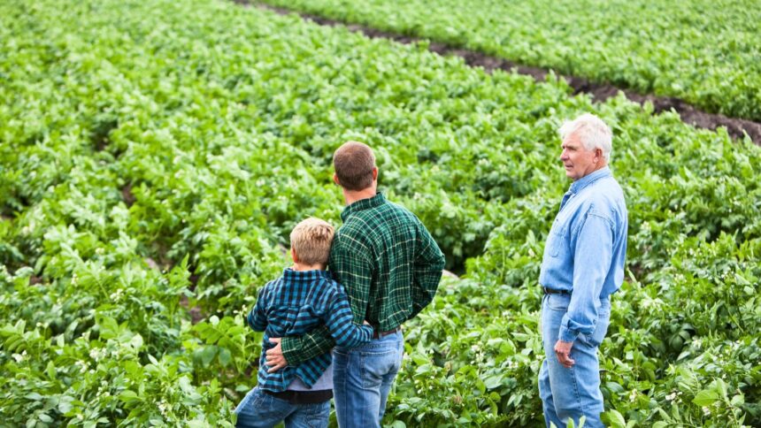 Profissionalizando o Sucessor: Guia Completo para o Agronegócio