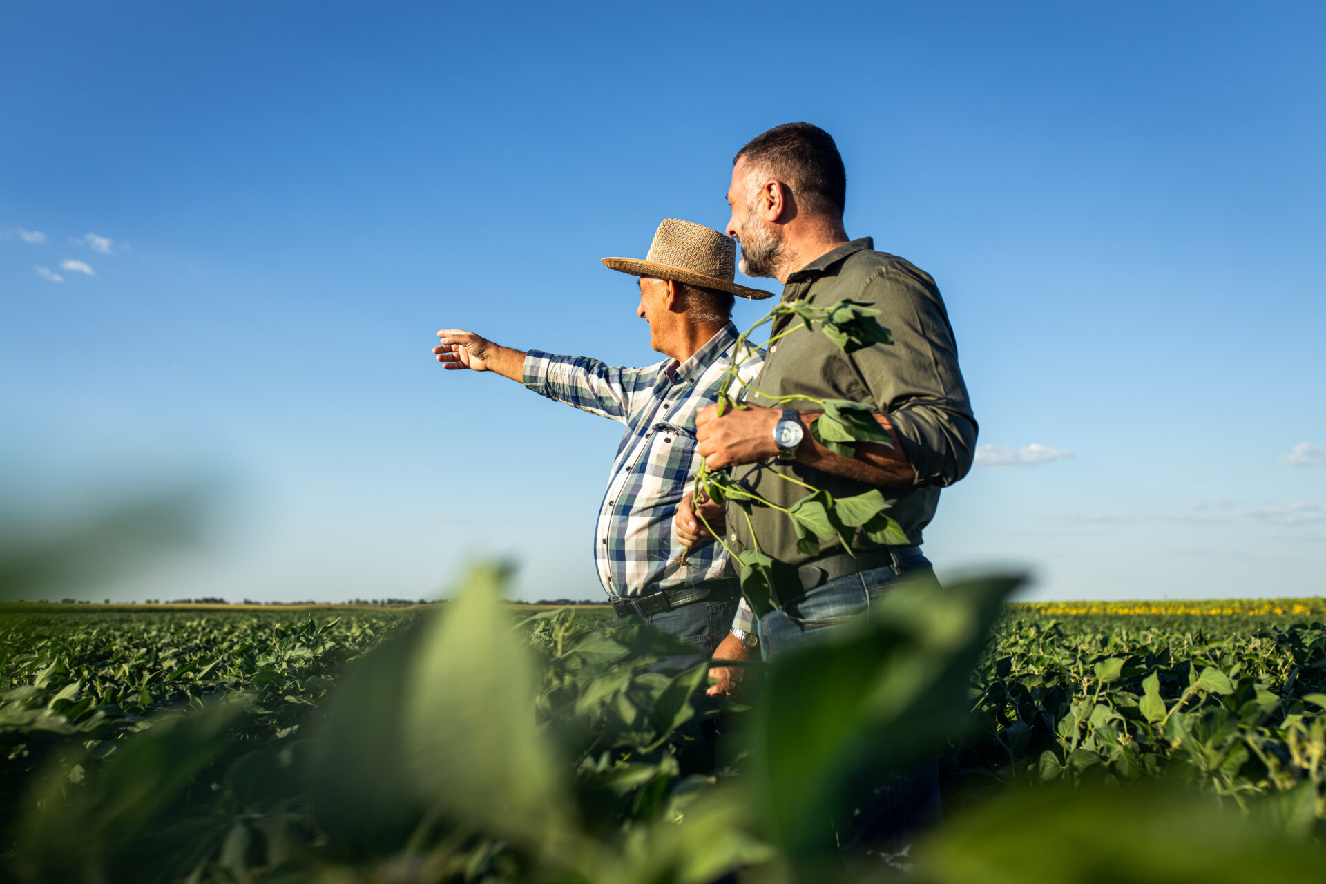 5 Estratégias para Evitar Conflitos na Sucessão do Agro