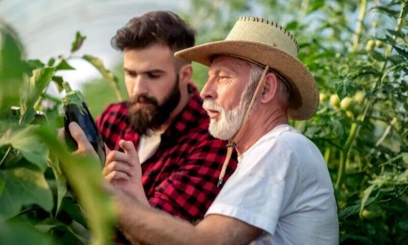 O Papel da Comunicação na Transição de Liderança Rural