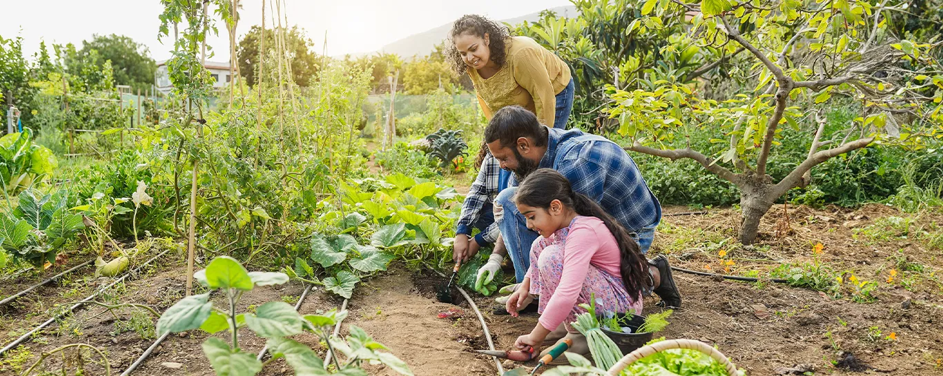 sucessão familiar agronegócio