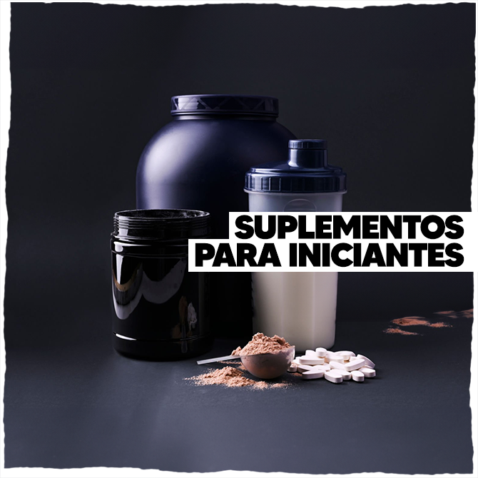suplementos para ganho de massa muscular iniciantes