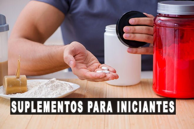suplementos para ganho de massa muscular iniciantes