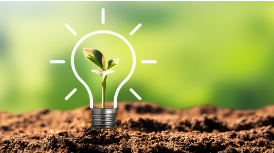 10 Dicas Práticas de Sustentabilidade para Pequenos Negócios